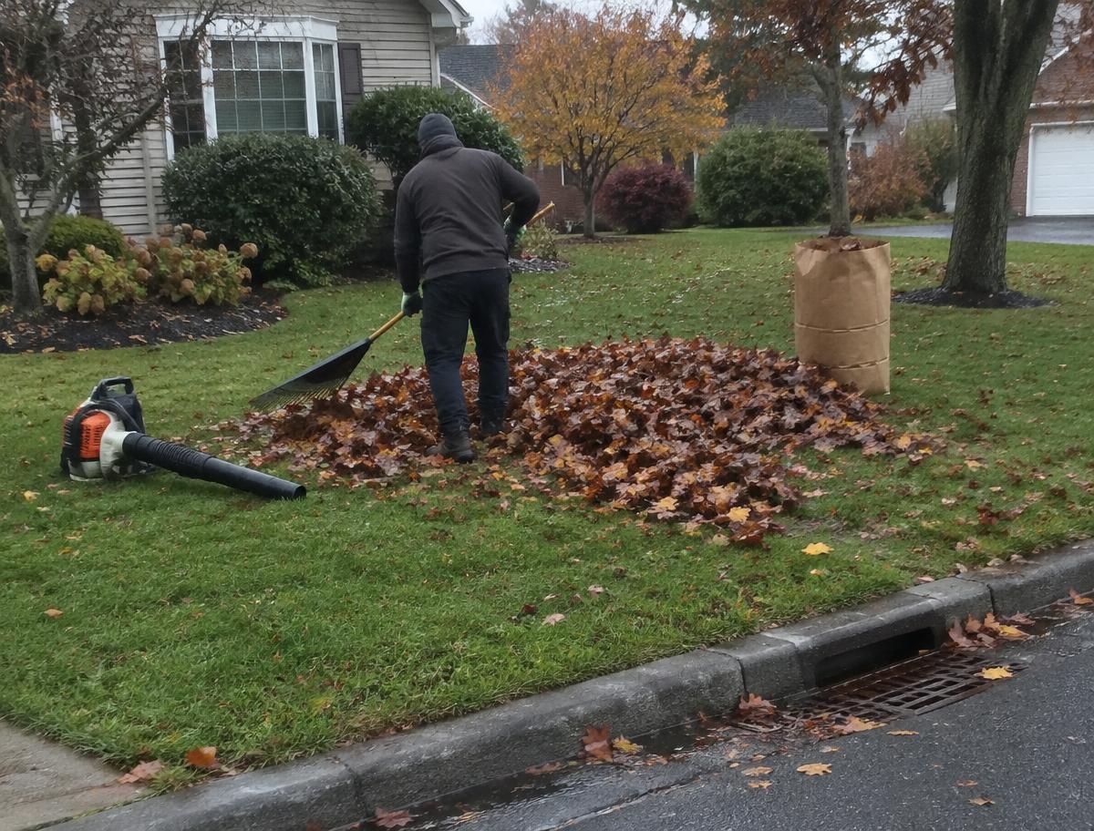 Worker raking wet autumn leaves into a pile on a green front lawn
